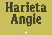 CS Sherin Drawn, a Serif Font by Craft Supply Co. (Thumbnail 4 of 8)