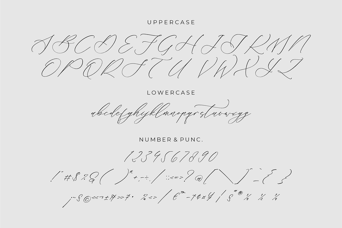 Liontinela Realise Chic Calligraphy, a Script Font by Storytype Studio (Photo 13 of 15)