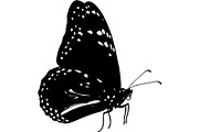 Butterfly Silhouette Bundle, an Object Graphic by Designer_Momina (Thumbnail 9 of 20)