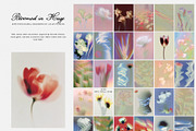 Bloomed in Haze: Floral Backgrounds, a Background Graphic by Purple (Thumbnail 9 of 14)