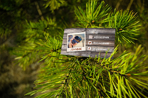 PSD Business Card - Polaroid