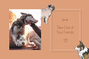 Camilie - Sans Serif Font, a Sans Serif Font by CorgiAstronaut (Thumbnail 7 of 10)