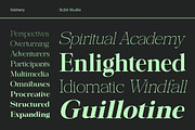 Galnery, a Serif Font by Suza Studio (Thumbnail 4 of 13)
