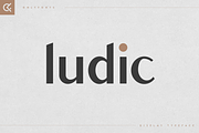Ludic - Display Vintage Font, a Font by Only Fonts (Thumbnail 1 of 10)