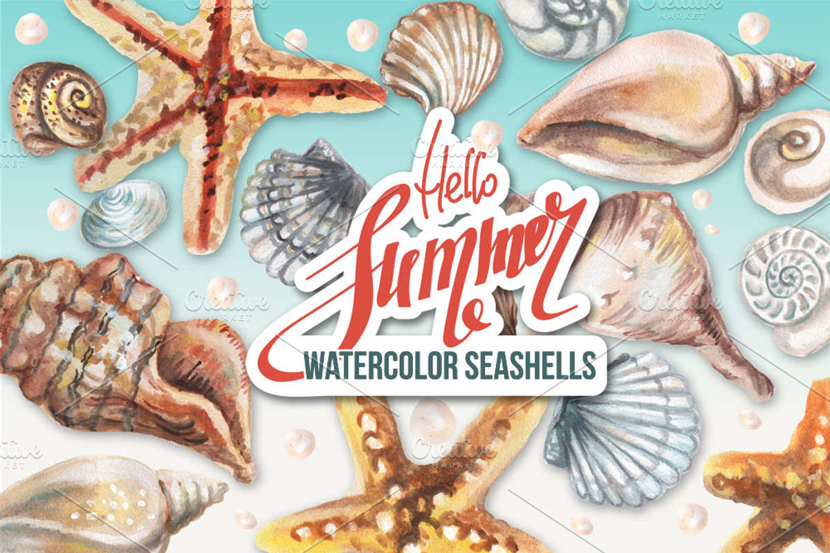 Watercolor Seashels, an Illustration by ARSCOR (Photo 3 of 5)