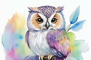 12 Watercolor baby owl clipart pack, an Animal Illustration by ZaaxPrintables (Thumbnail 4 of 8)