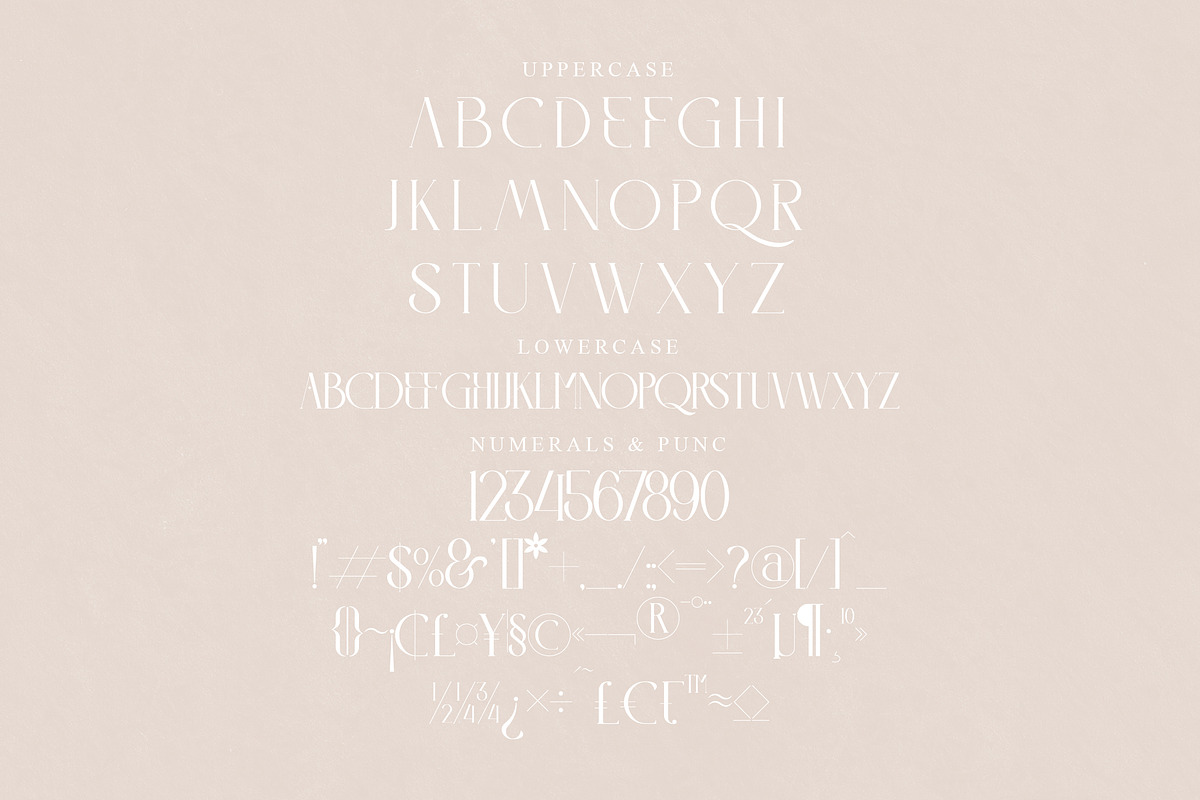 LITERACY Modern and Stylish Serif, a Serif Font by Storytype Studio (Photo 13 of 15)