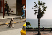 Lima, Peru – Vibrant Editorial Pack, a Photo by This For There (Thumbnail 5 of 14)