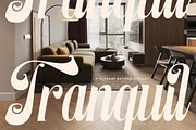 Hedmesa: Elegant Script Font, a Script Font by timelesstype.co (Thumbnail 2 of 20)