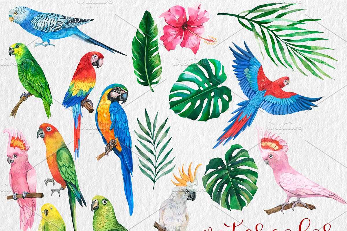 Watercolor Tropical BIG BUNDLE PNG, a Seasonal Illustration by PatternPalette (Photo 11 of 15)