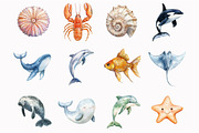 Cute Sea Animals Clipart, an Illustration by Design Market (Thumbnail 4 of 5)