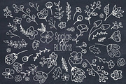 Sprigs & Blooms Clipart +Bonus Logos, an Object Graphic by The Pen and Brush (Thumbnail 7 of 7)