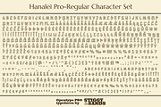 Hanalei Pro Family, a Sans Serif Font by Stiggy & Sands (Thumbnail 9 of 9)