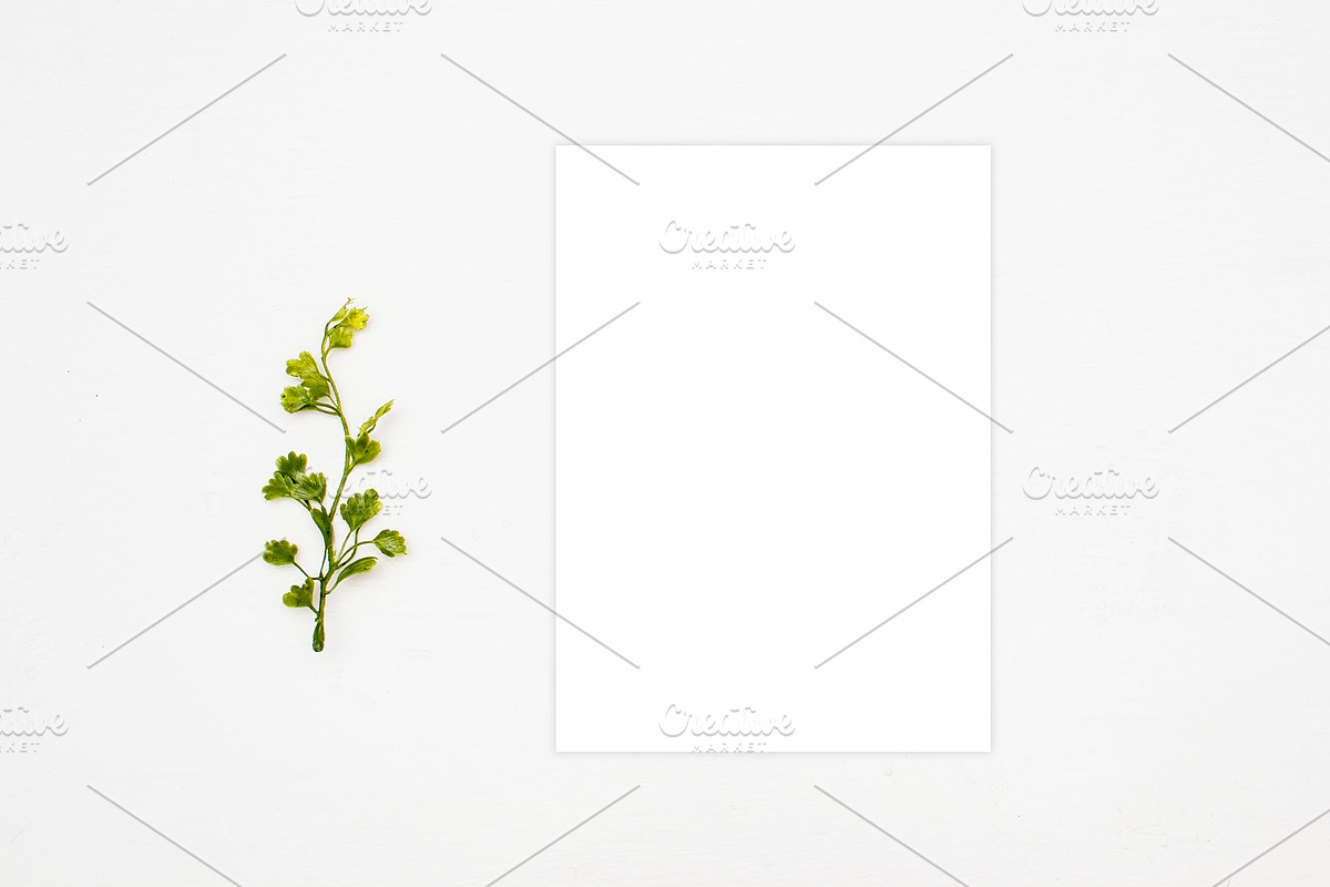 Mockup, Clean White Natural Mockups, a Photo by BlueBooks (Photo 1 of 2)