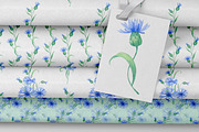 Blue cornflowers bundle, a Decorative Illustration by EshaStudio (Thumbnail 10 of 15)