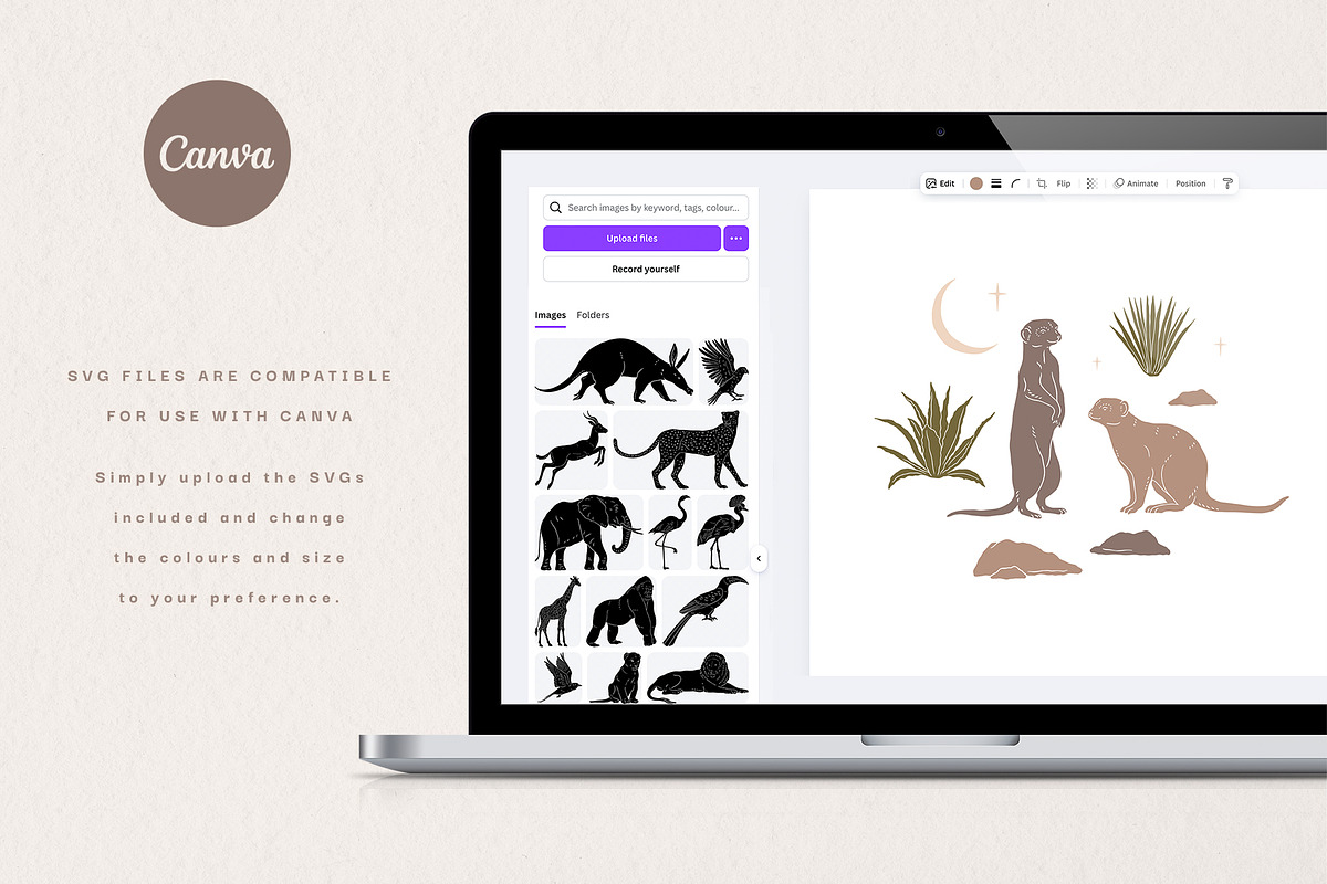 Starlit Safari Graphic Collection, an Animal Illustration by rouxsupplyco (Photo 15 of 16)
