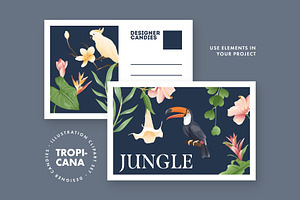 Tropical Illustrations Set