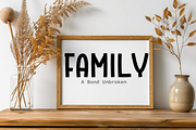 Forever, a Script Font by InermediaSTUDIO (Thumbnail 3 of 7)