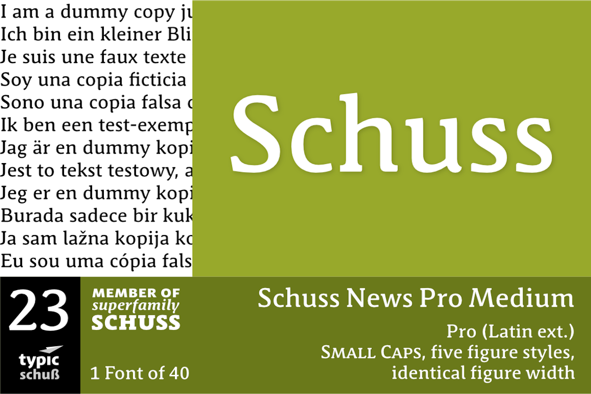 SchussNewsProMedium No.23 (1 Font)