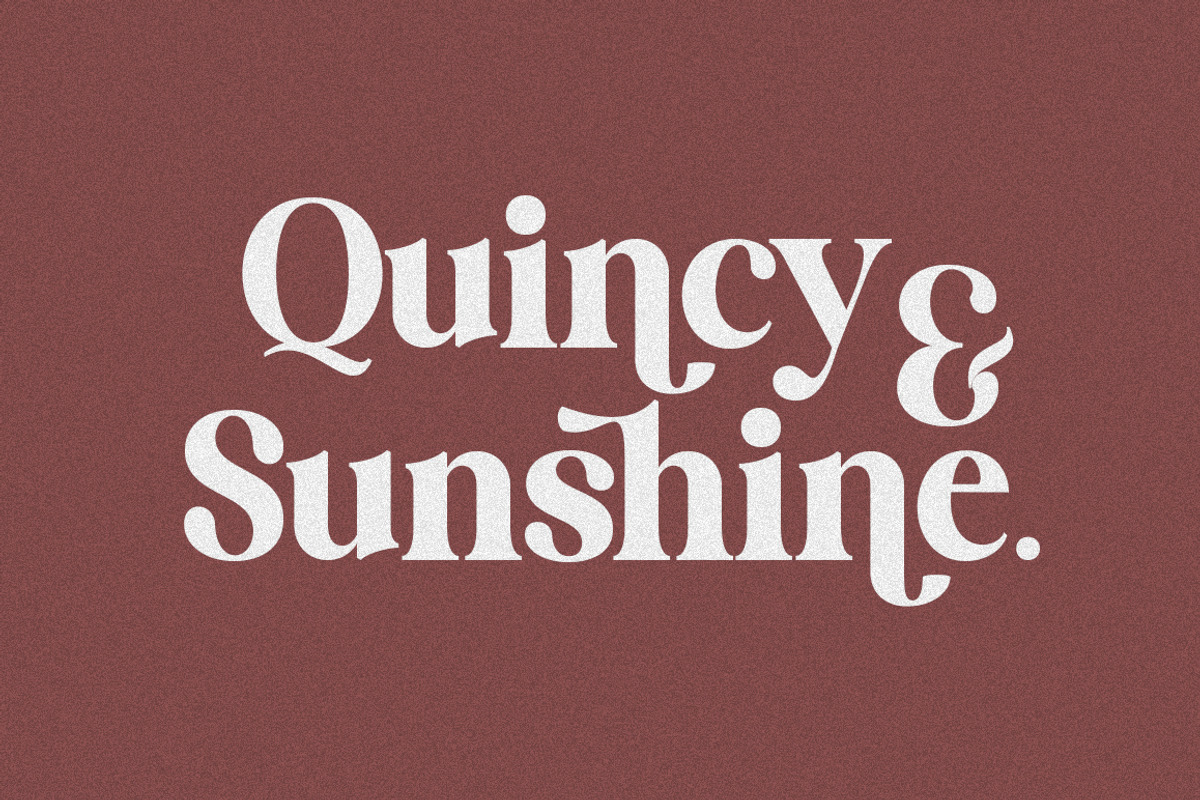 SWEET VUSSTAIN, a Serif Font by Gatype (Photo 3 of 9)
