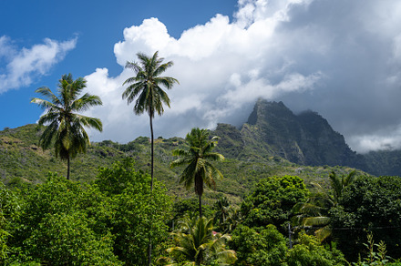 Mount Temetiu near Atuona, Hiva Oa, French Polynesia, Marquesas
