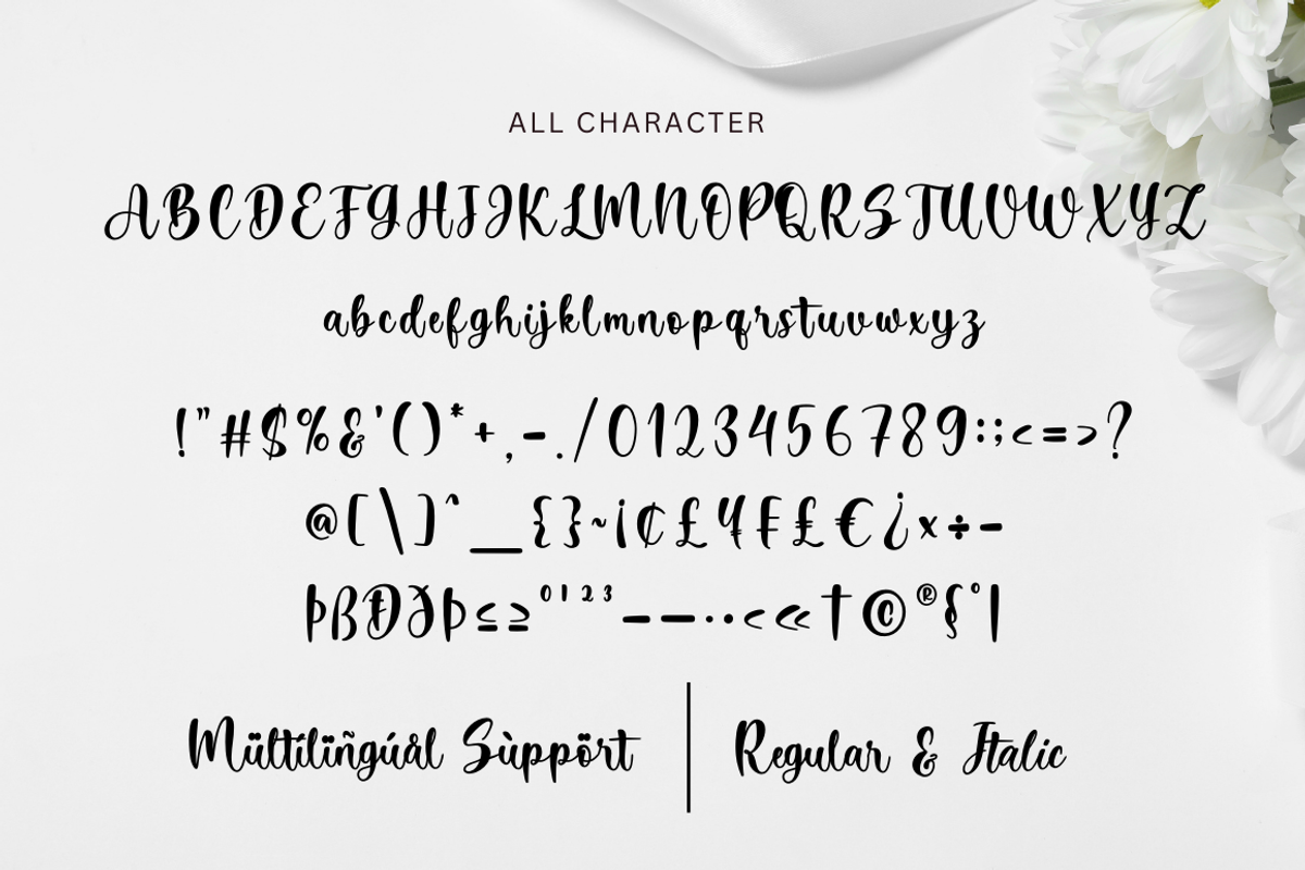Abitha - Calligraphy Font, a Script Font by Sronstudio (Photo 14 of 16)