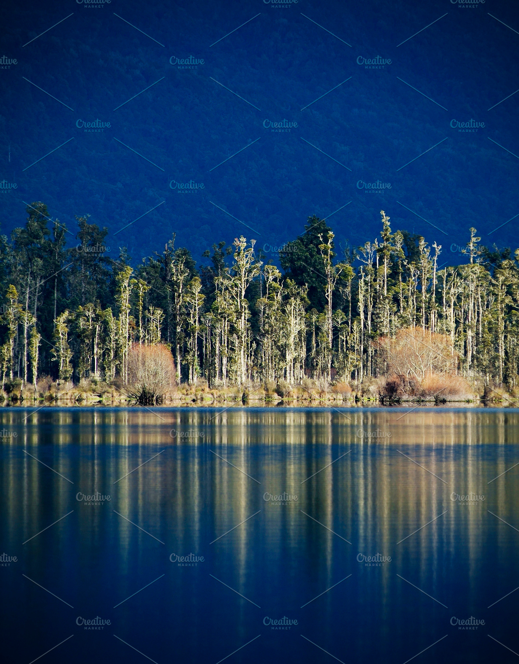 Forest Lake Reflection, a Nature Photo by THP Creative