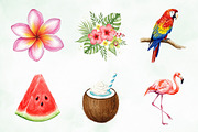 Modern Tropical Huge Collection, an Illustration by Creative Art (Thumbnail 3 of 9)