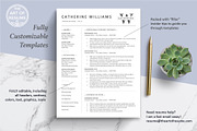 Executive Resume, Business Resume CV, a Resume Template by The Art of Resume (Thumbnail 3 of 8)