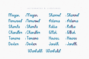 Winter Moodboard | Handwritten Font, a Script Font by Suntype | Sunshine Std (Thumbnail 4 of 9)
