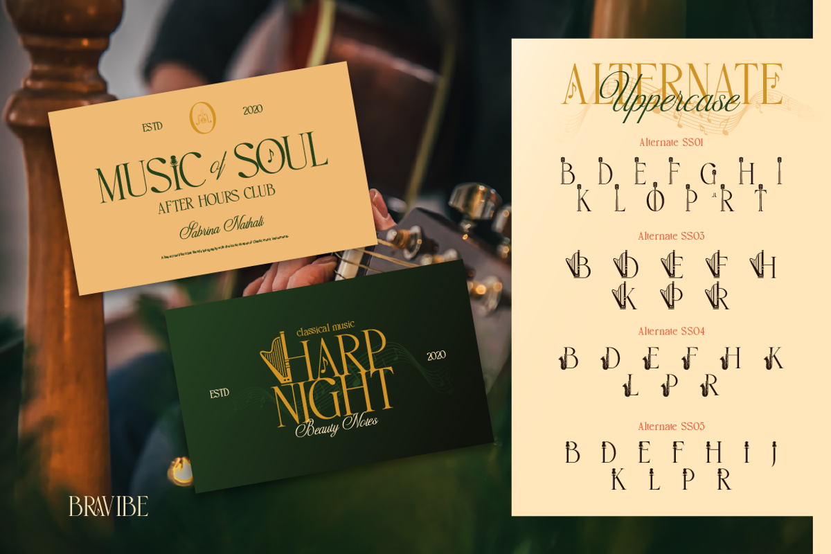 Bravibe, a Serif Font by Burntilldead (Photo 9 of 11)