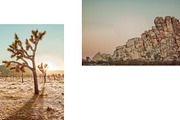 Joshua Tree Desert Wall Art, a Background Photo by Munopia (Thumbnail 4 of 10)