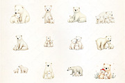 Winter Polar Bear Family Clipart, an Illustration by CrexoraLab (Thumbnail 3 of 5)