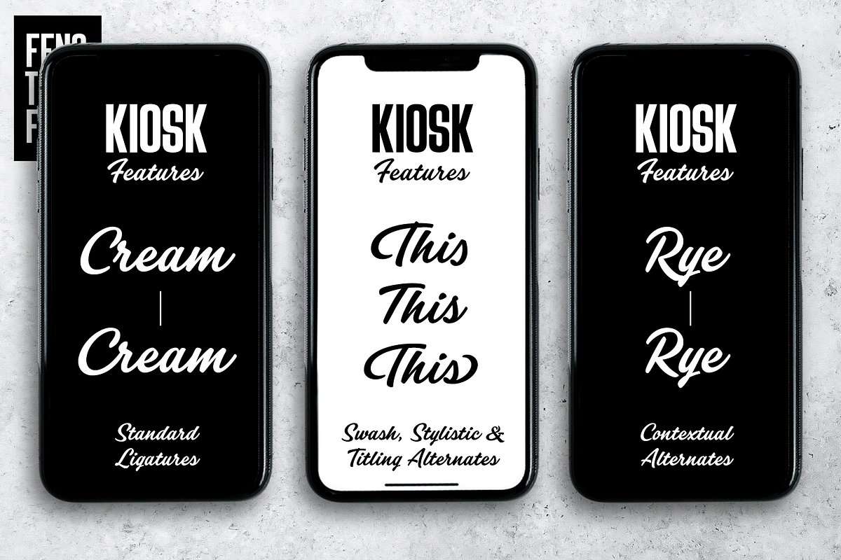 Kiosk Font Pack, a Sans Serif Font by Fenotype (Photo 10 of 12)