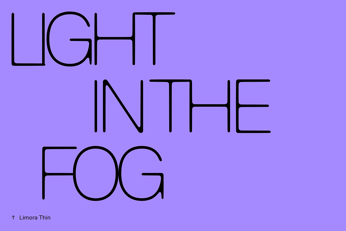 Limora, a Sans Serif Font by Nameless Type Foundry (Photo 7 of 10)