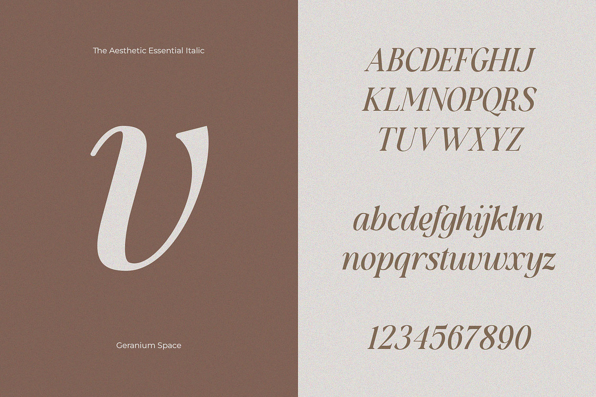 Aesthetic Essential | Modern Serif, a Serif Font by Megi Satyo Widodo (Photo 17 of 22)