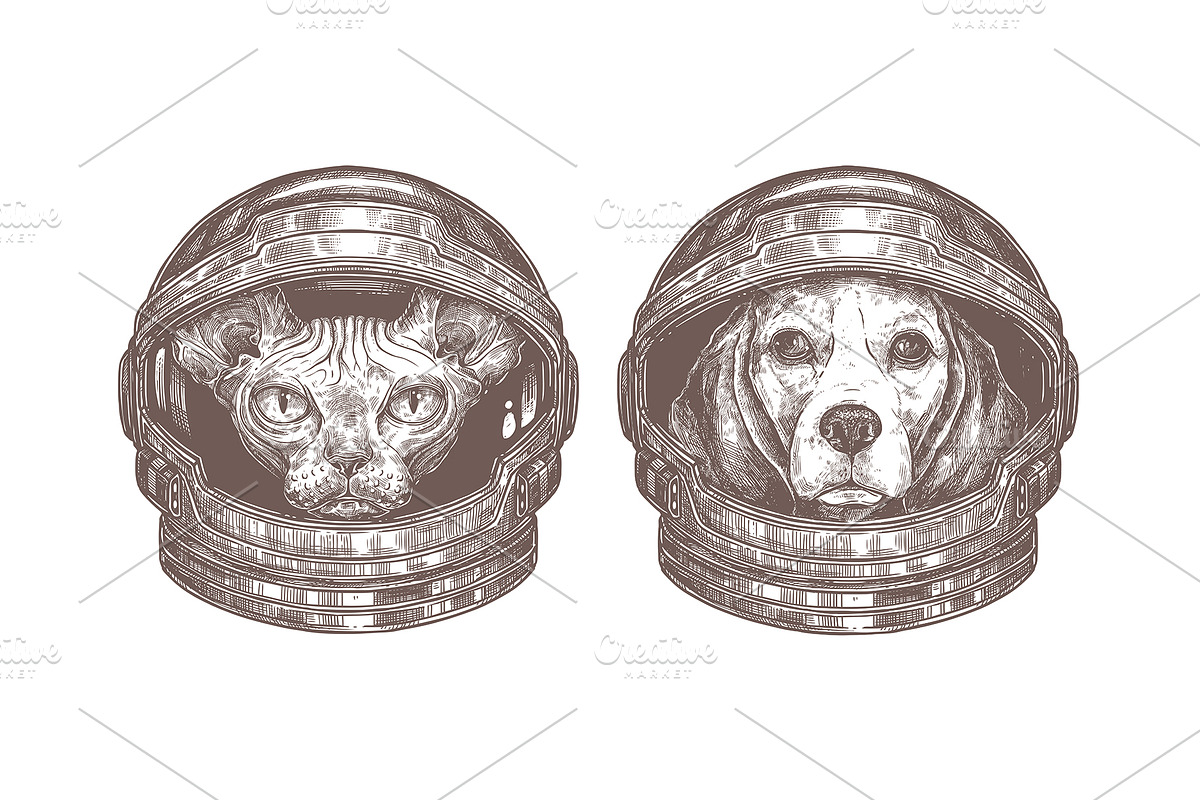 Astronaut Helmet, an Animal Illustration by alexrockheart (Photo 6 of 9)