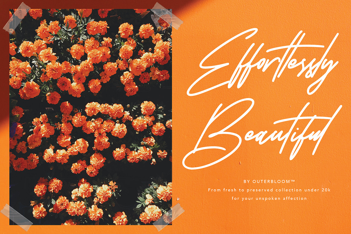 Karstar Signature Font, a Script Font by Maulana Creative (Photo 4 of 10)
