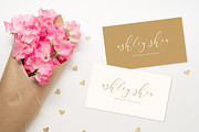 Typographer's Dream Box + 200 Logos, a Script Font by Mats-Peter Forss (Thumbnail 92 of 130)