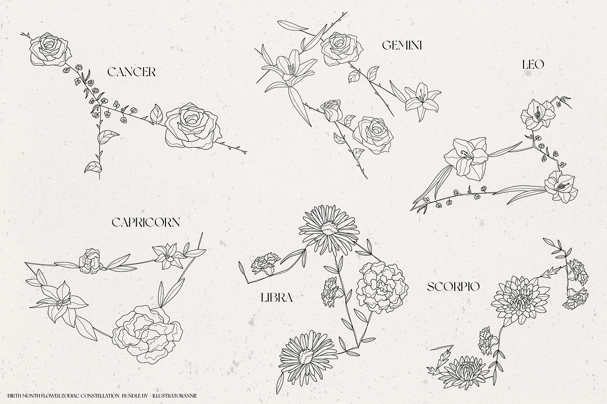 Birth Month Zodiac Constellations, an Illustration by IllustratorAnnie (Photo 4 of 5)