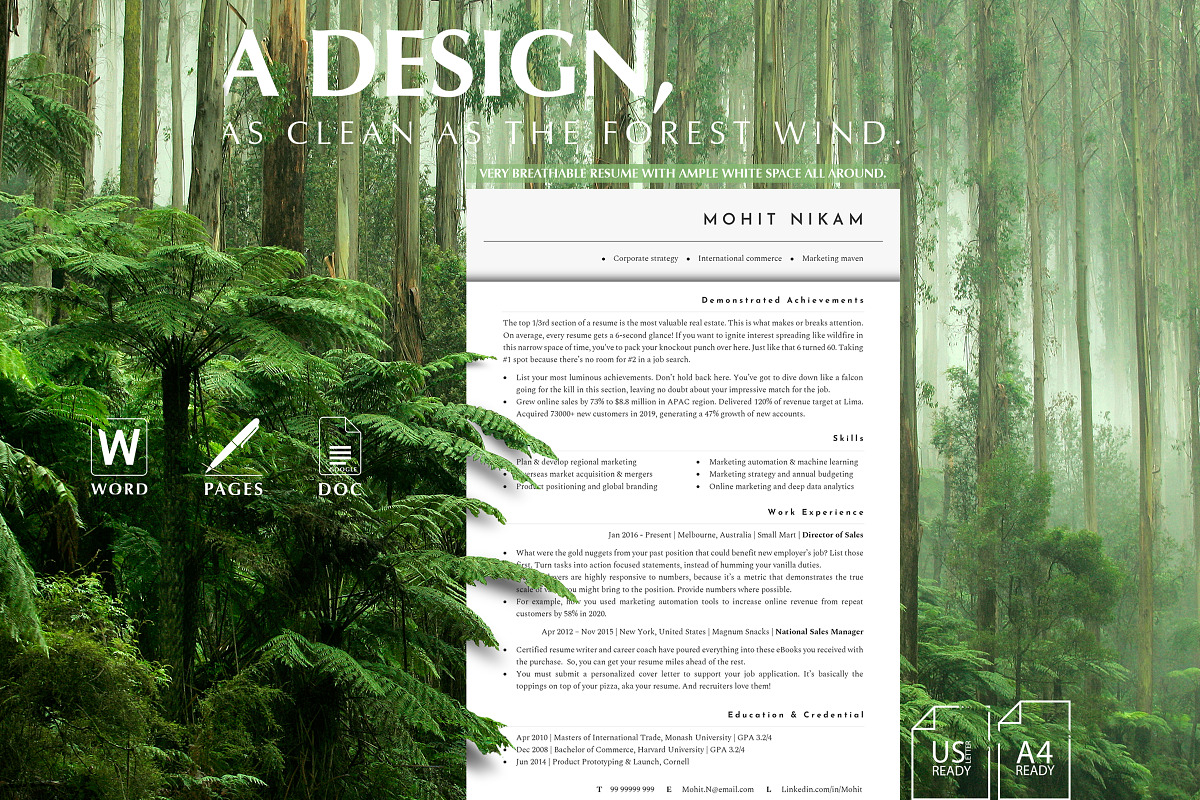 Director Resume Template, CV, a Resume Template by Career Canvas (Photo 5 of 11)