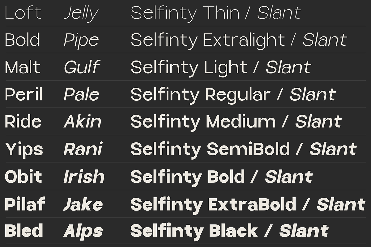 Selfinty Sans - 90 fonts + variable., a Sans Serif Font by Madjack.font (Photo 2 of 15)