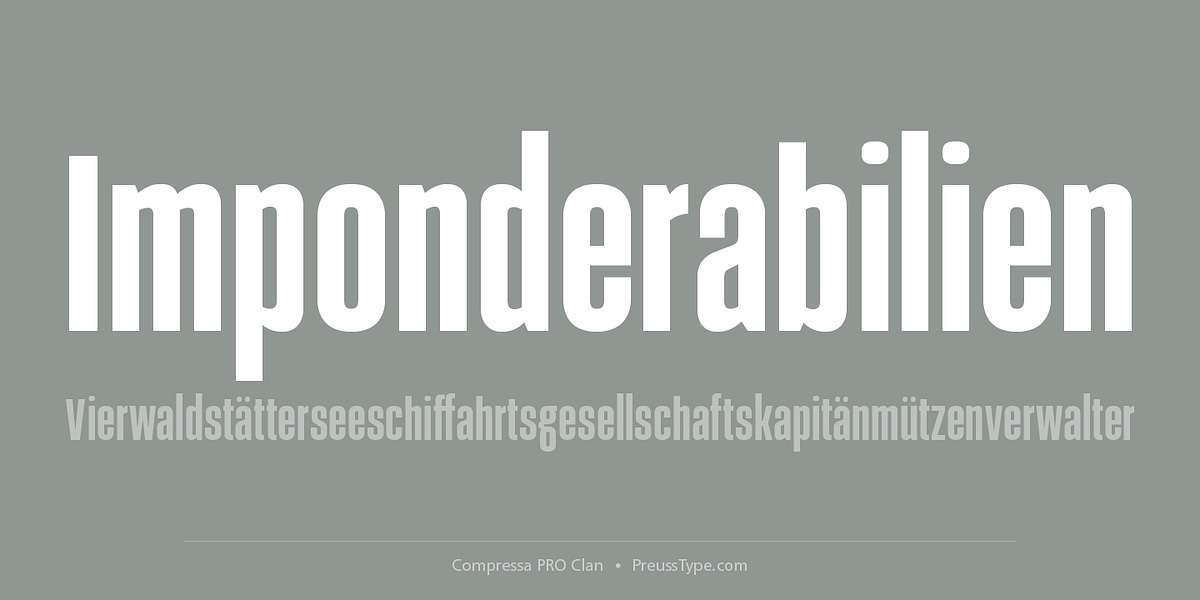 Compressa PRO, a Sans Serif Font by preussTYPE (Photo 7 of 9)
