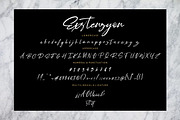 Exstensyon Brush Business Font, a Script Font by Creatype Studio (Thumbnail 7 of 8)