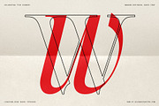 The Elfkin Editorial - Modern Serif, a Serif Font by SilverStag Type Foundry (Thumbnail 3 of 20)