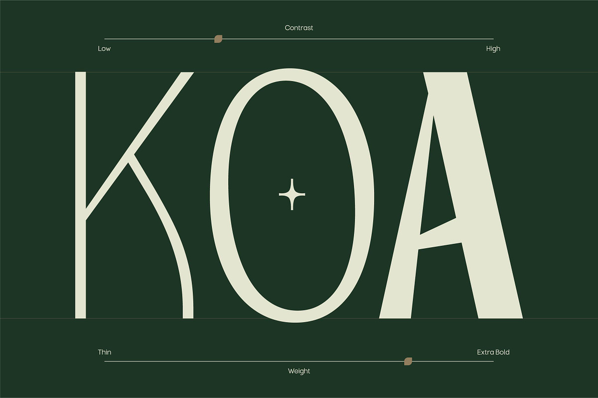 TBJ Orcherum Unique Ligatures Sans, a Font by Taboja Studio (Photo 11 of 21)