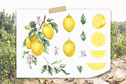 Lemon watercolor illustration, an Illustration by Fedulova Art (Thumbnail 2 of 14)