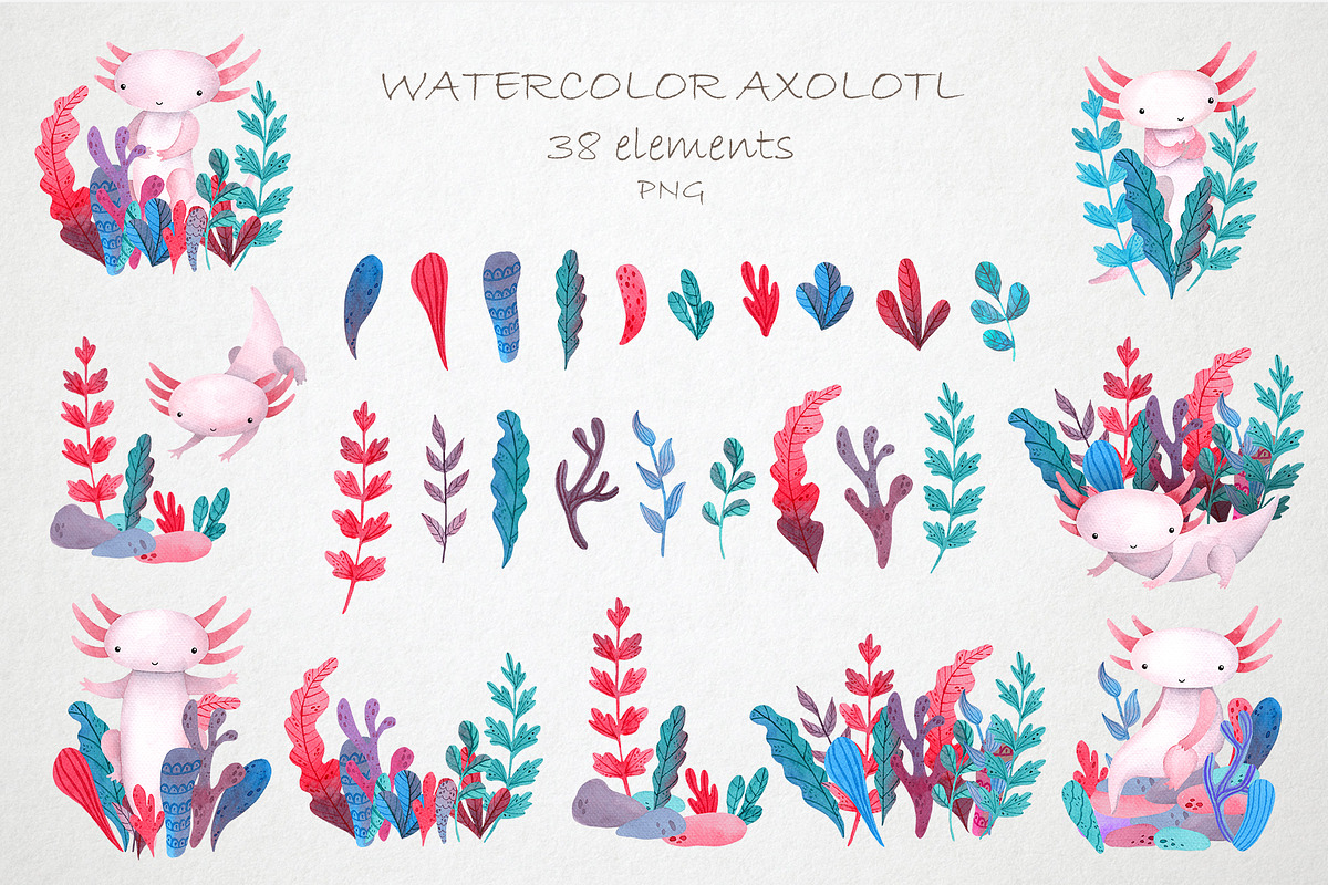 Cute Watercolor Pink Axolotl, an Animal Illustration by LukaJreym (Photo 3 of 9)