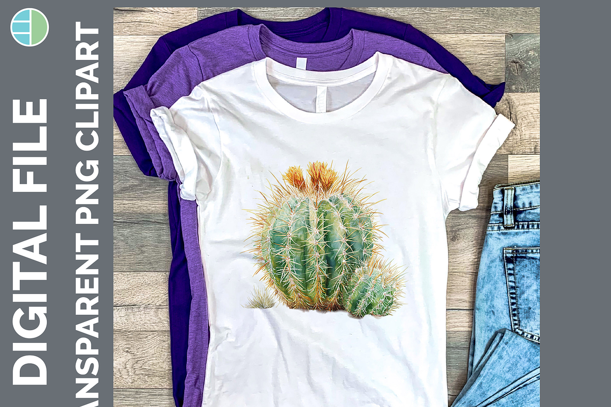 Cactus Succulent Illustration Bundle, an Animal Illustration by Enliven Designs (Photo 4 of 8)