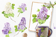Lilac. Watercolor set., an Illustration by Tata Pilip (Thumbnail 2 of 21)